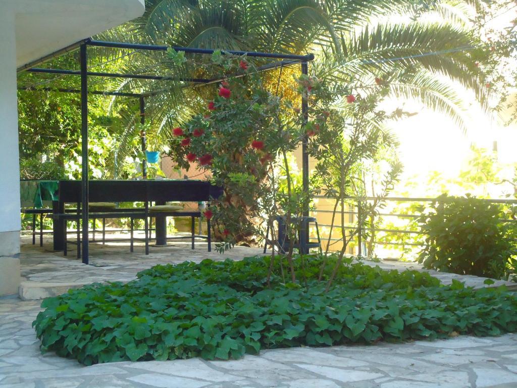 Apartments Villa Petranovic Будва Экстерьер фото