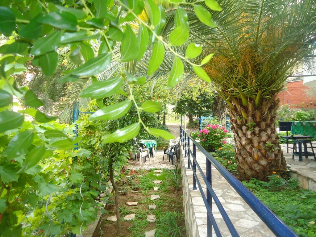 Apartments Villa Petranovic Будва Номер фото